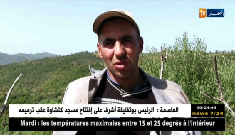 سكيكدة: فلاحون يشتكون نقص الدعم وتقلص المساحات المخصصة لزراعة الفراولة