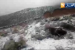خنشلة: الثلوج تغطي مرتفعات جبال حويرة وشيليا