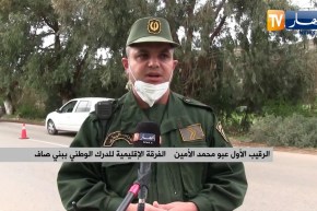 عين تموشنت: ثلاثة وفيات في حادث سقوط شجرة على سيارة أجرة