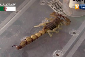 ورقلة: وزير الصحة يشرف على إفتتاح مسابقة توظيف الأطباء الأخصائيين