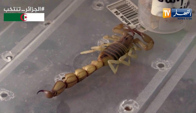 ورقلة: وزير الصحة يشرف على إفتتاح مسابقة توظيف الأطباء الأخصائيين