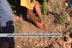 الحكومة تصادق على إنشاء هيئة لمكافحة التصحر وإعادة بعث السد الأخضر