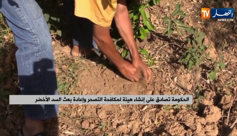 الحكومة تصادق على إنشاء هيئة لمكافحة التصحر وإعادة بعث السد الأخضر