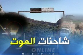شاهد.. صورة مرعبة لعملية نقل حزم التبن وعدم التحكم بتوازن الشاحنات في ميلة