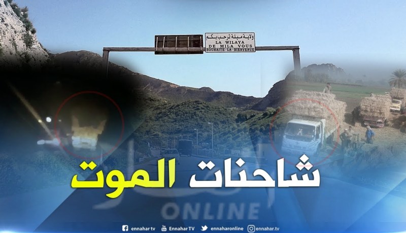 شاهد.. صورة مرعبة لعملية نقل حزم التبن وعدم التحكم بتوازن الشاحنات في ميلة