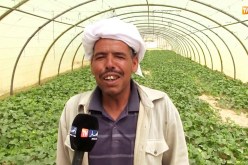 الوادي: إنعدام الكهرباء يرهن نشاط الفلاحين بمنطقة الخصيم