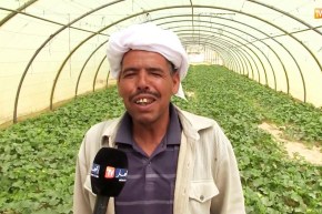 الوادي: إنعدام الكهرباء يرهن نشاط الفلاحين بمنطقة الخصيم