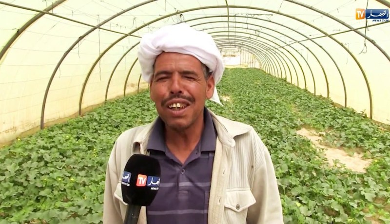 الوادي: إنعدام الكهرباء يرهن نشاط الفلاحين بمنطقة الخصيم