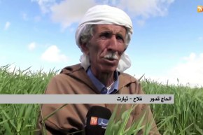 تيارت: “العادي”.. ظاهرة تعود هذا الموسم بسبب التساقط المعتبر للأمطار