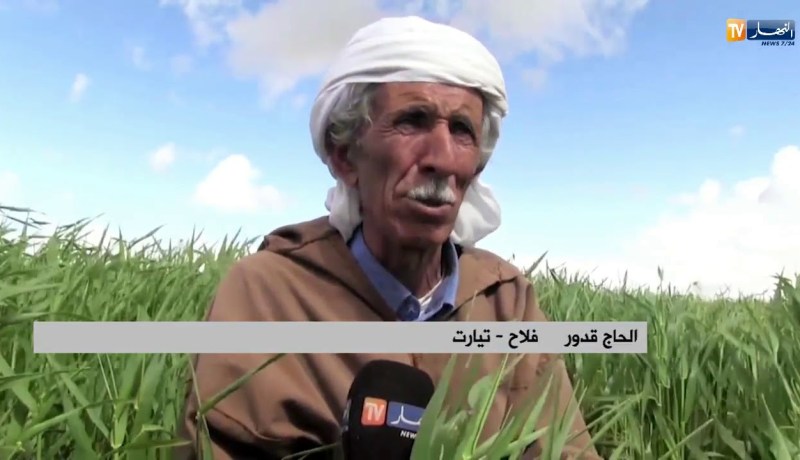 تيارت: “العادي”.. ظاهرة تعود هذا الموسم بسبب التساقط المعتبر للأمطار