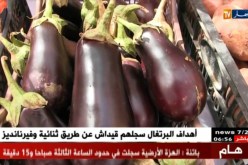 تمنراست: وزير الفلاحة في زيارة عمل وتفقد على قطاعه بالجنوب