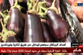 تمنراست: وزير الفلاحة في زيارة عمل وتفقد على قطاعه بالجنوب