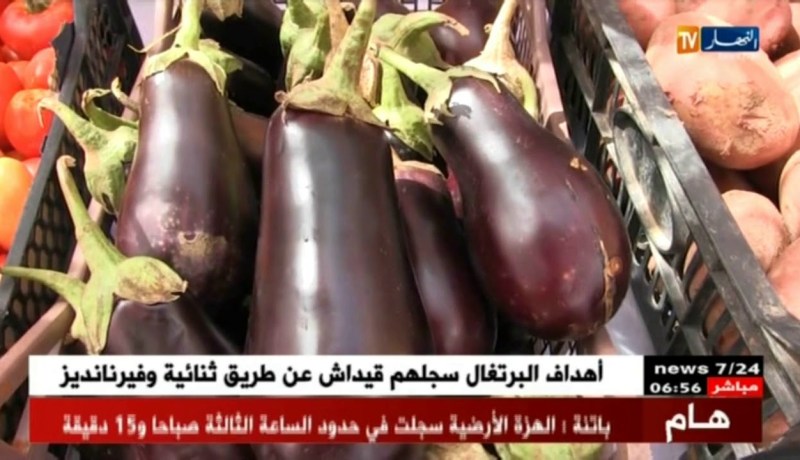 تمنراست: وزير الفلاحة في زيارة عمل وتفقد على قطاعه بالجنوب