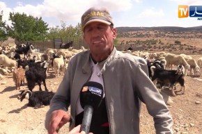 باتنة: سكان بديدس بتاكسلانت يعيشون حياة بدائية