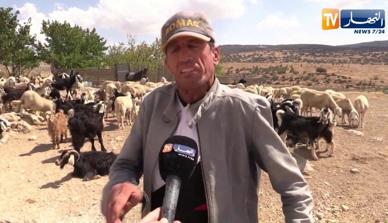 باتنة: سكان بديدس بتاكسلانت يعيشون حياة بدائية