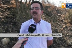 تيزي وزو: النيران تعود بقوة و تتسبب بخسائر في الثروة الغابية و الزراعية