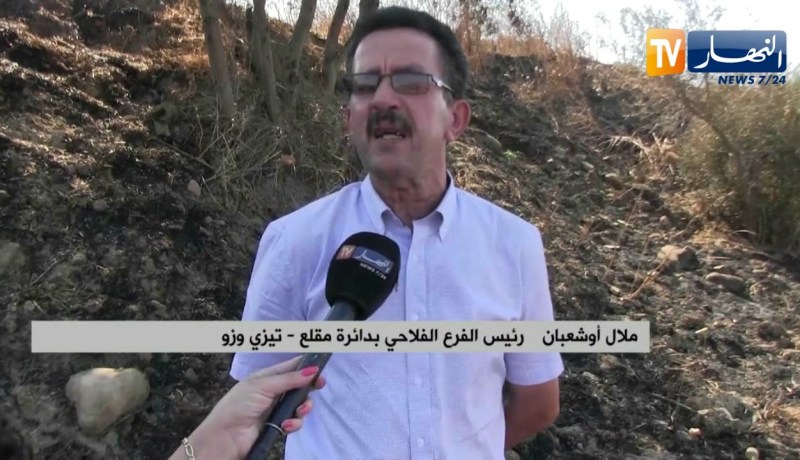 تيزي وزو: النيران تعود بقوة و تتسبب بخسائر في الثروة الغابية و الزراعية