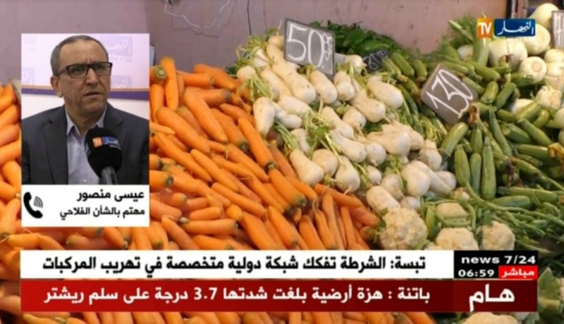 فلاحة: عدم إستقرار الأسعار رغم وفرة المنتوج الفلاحي …أين الخلل؟