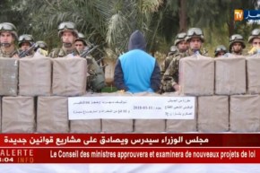 دفاع : الجيش يحجز 455 كلغ من الكيف المعالج ببشار