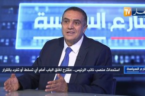 عبد العزيز بلعيد: إستحداث منصب نائب الرئيس أمر جيد لكن لا يمكن لنائب معين أن يعوض الرئيس