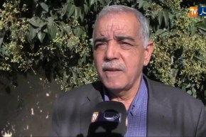 تبسة/ إنطلاق عملية جني البطاطا مع توقع إنتاج مليون و200 الف قنطار رغم الصعوبات