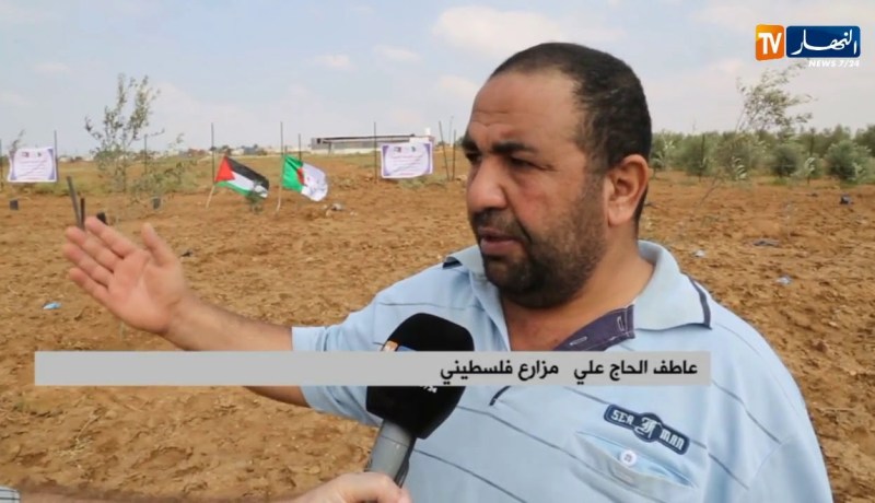 فلسطين/ زراعة أشجار زيتون تحمل أسماء شهداء الثورة الجزائرية بغزة