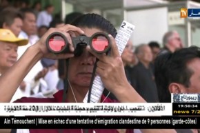 ريبورتاج/ سباقات الخيول..مضامير توفر المتعة و المال
