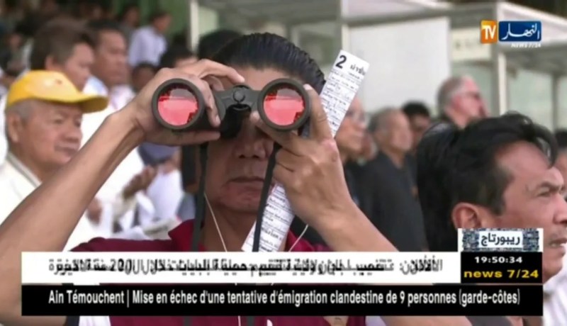 ريبورتاج/ سباقات الخيول..مضامير توفر المتعة و المال