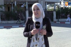 موفدة النهار إلى مجلس قضاء العاصمة: “تشكيلة قضائية جديدة تلتحق بالمجلس وتباشر العمل”
