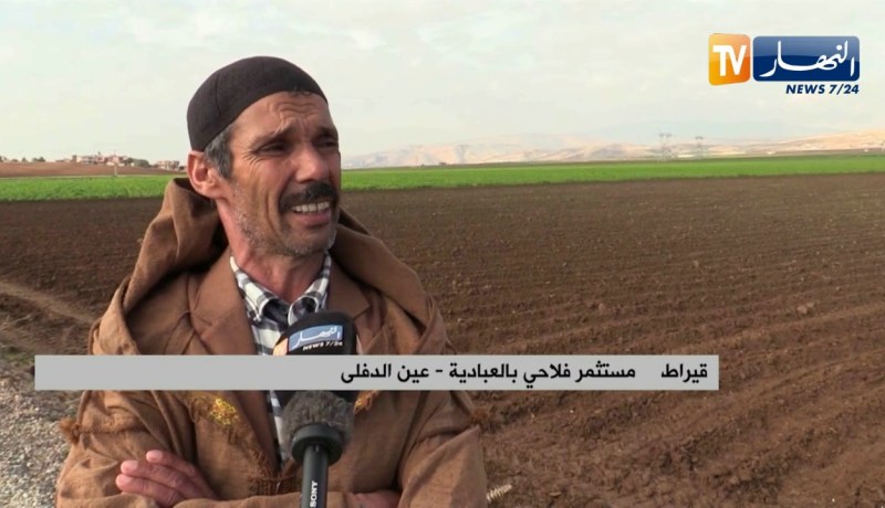 عين الدفلى: جائحة كورونا تعصف بمنتجي البطاطا و تحول نشاطهم إلى ضربة حظ