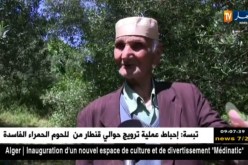 سكيكدة: الأمطار تسبب خسائر كبيرة في فاكهة الكرز بالمصيف القلي