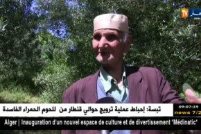 سكيكدة: الأمطار تسبب خسائر كبيرة في فاكهة الكرز بالمصيف القلي