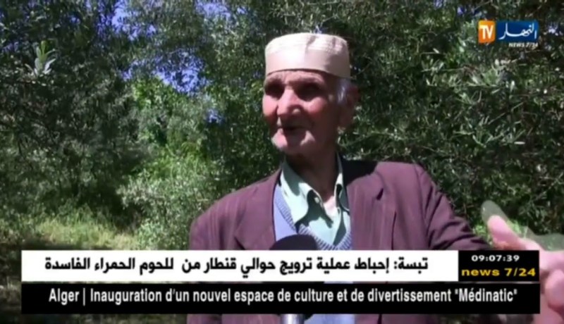 سكيكدة: الأمطار تسبب خسائر كبيرة في فاكهة الكرز بالمصيف القلي