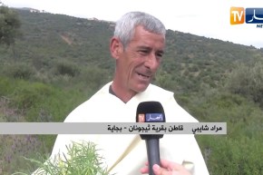 بجاية: أذريس.. طبق تقليدي يحضر لإستقبال فصل الربيع