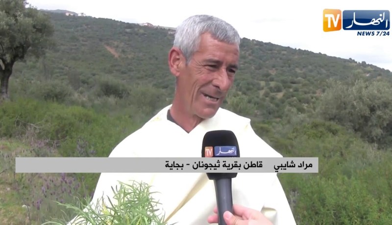 بجاية: أذريس.. طبق تقليدي يحضر لإستقبال فصل الربيع