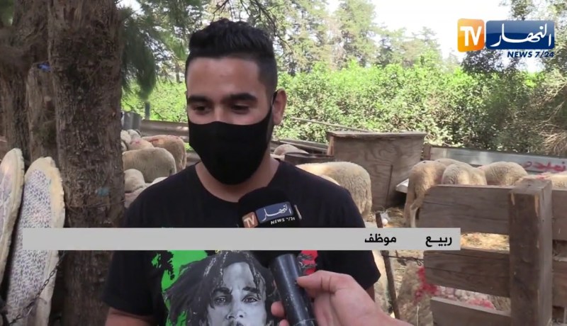 ثقافة: بيع أضحية العيد عبر مواقع التواصل الإجتماعي..  البديل في زمن كورونا