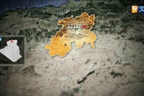 حجز 16 قنطار من اللحوم الحمراء على مذبح غير شرعي في المدية