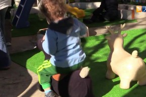 مجتمع: حاضنات المنزل.. تكاليف زهيدة تخفي مخاطر كبيرة ..!