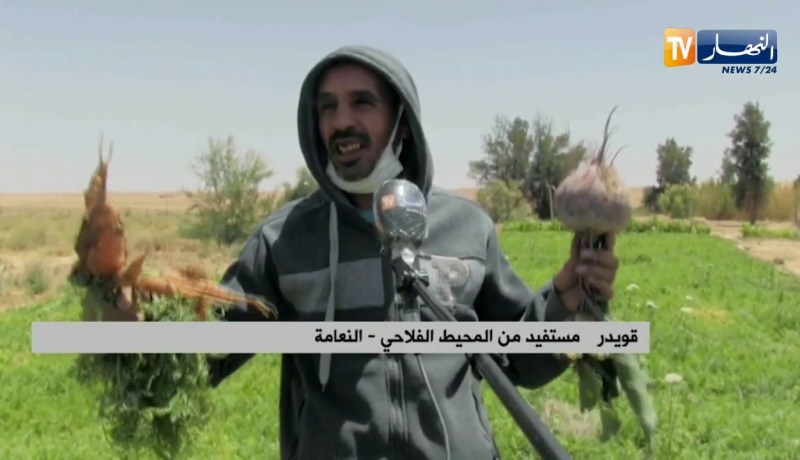 النعامة : فلاحو محيط بن زلاط بن الطاهر يطالبون بالماء والكهرباء