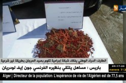 الطارف: الدرك الوطني يفكك شبكة إجرامية تقوم بصيد المرجان بطريقة غير شرعية