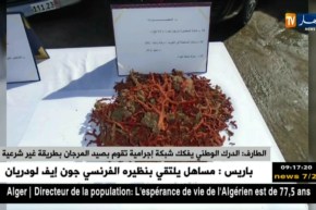 الطارف: الدرك الوطني يفكك شبكة إجرامية تقوم بصيد المرجان بطريقة غير شرعية