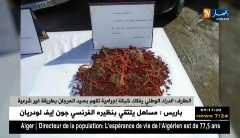 الطارف: الدرك الوطني يفكك شبكة إجرامية تقوم بصيد المرجان بطريقة غير شرعية