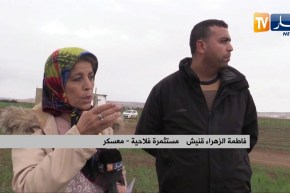 معسكر: فاطمة الزهراء .. أساتذة متقاعدة إختارت مجال الفلاحة اللإستثمار فيه بكل قناعة