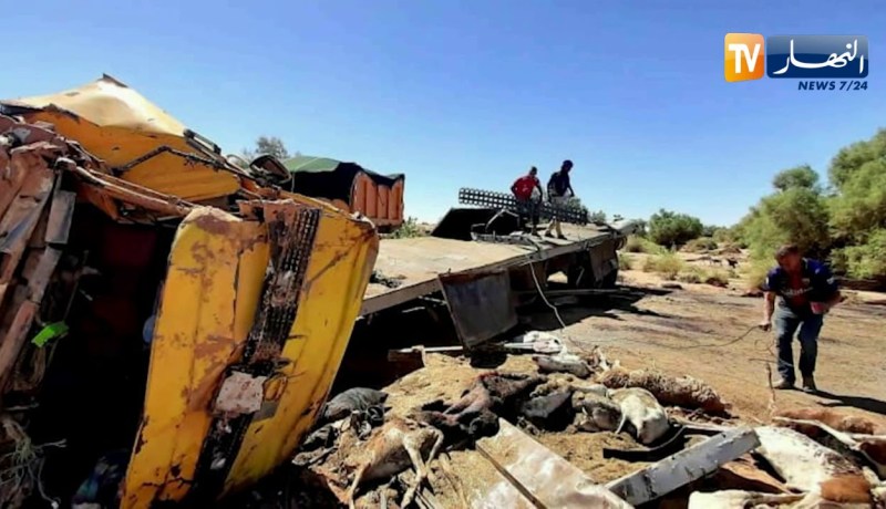 إليزي: 3 قتلى في حادث إنقلاب شاحنة محملة بالأغنام بين برج الحواس وجانت