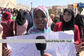 تعليم عالي: إضرابات مفتوحة بالجامعات..وشبح السنة البيضاء يلوح في الأفق