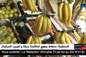 وزارة التجارة تخلت عن رخص الإستيراد لفاكهة الموز