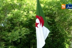 “بن صالح” يستقبل قادة الحوار الوطني منهم “كريم يونس ,فتيحة بن عبو وإسماعيل لالماس”