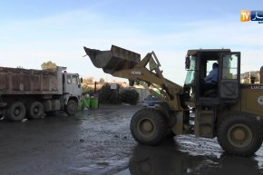 البليدة: سقوط عشرات المنازل بسبب الأمطار