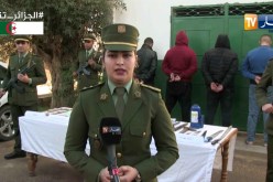 عين تموشنت: تفكيك شبكة مختصة في سرقة المركبات الثقيلة