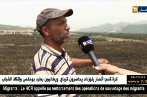 بجاية : حريق يلتهم 150 هكتارا من محاصيل الحبوب بالقصر والفلاحون متذمرون …..